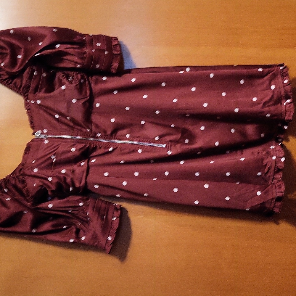 For Love And Lemons Davies Burgundy Polka Dot Swing Satin Dress - Picture 8 of 8